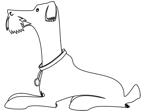 Airedale Terrier Coloring Page